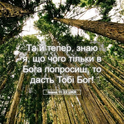 Picture 05 - Івана 11:22 UKR - Та й тепер, знаю я, що чого - Bible Verse Picture