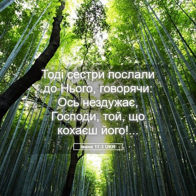 Picture 05 - Івана 11:3 UKR - Тоді сестри послали до - Bible Verse Picture