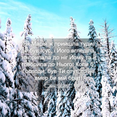 Picture 05 - Івана 11:32 UKR - Як Марія ж прийшла туди, де - Bible Verse Picture