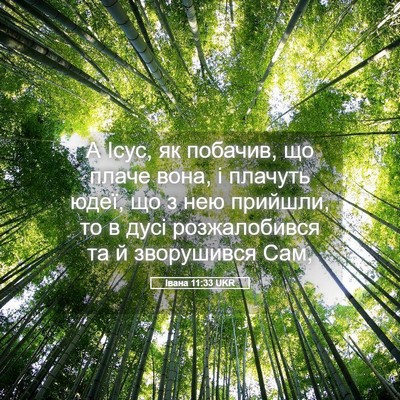 Picture 05 - Івана 11:33 UKR - А Ісус, як побачив, що плаче - Bible Verse Picture