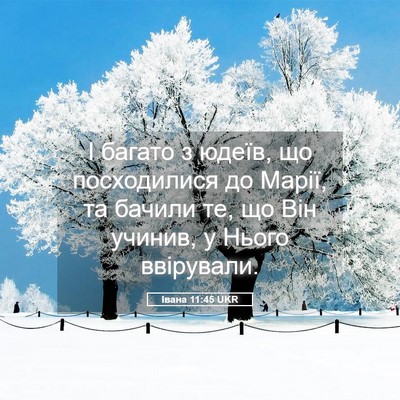 Picture 05 - Івана 11:45 UKR - І багато з юдеїв, що - Bible Verse Picture