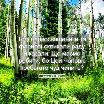 Picture 05 - Івана 11:47 UKR - Тоді первосвященики та - Bible Verse Picture