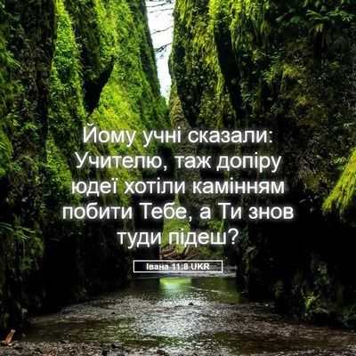 Picture 05 - Івана 11:8 UKR - Йому учні сказали: Учителю, - Bible Verse Picture