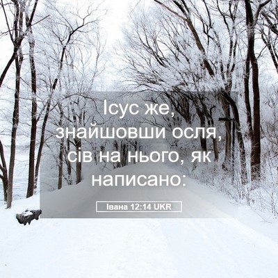 Picture 05 - Івана 12:14 UKR - Ісус же, знайшовши осля, - Bible Verse Picture