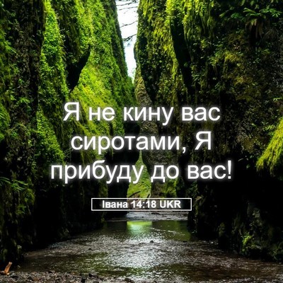Picture 05 - Івана 14:18 UKR - Я не кину вас сиротами, Я - Bible Verse Picture