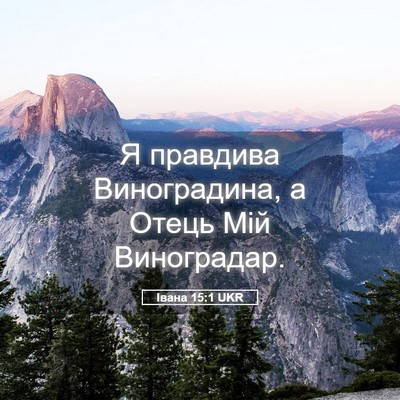 Picture 05 - Івана 15:1 UKR - Я правдива Виноградина, а - Bible Verse Picture