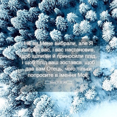 Picture 05 - Івана 15:16 UKR - Не ви Мене вибрали, але Я - Bible Verse Picture