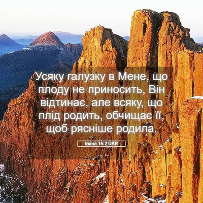 Picture 05 - Івана 15:2 UKR - Усяку галузку в Мене, що - Bible Verse Picture