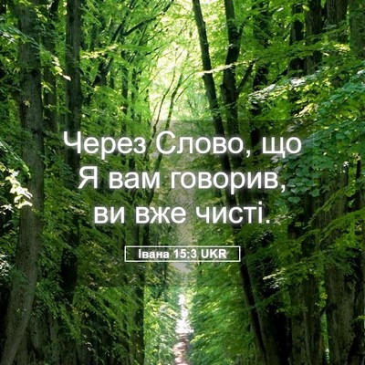 Picture 05 - Івана 15:3 UKR - Через Слово, що Я вам - Bible Verse Picture