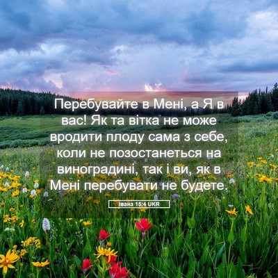 Picture 05 - Івана 15:4 UKR - Перебувайте в Мені, а Я в - Bible Verse Picture