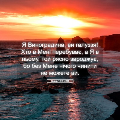 Picture 05 - Івана 15:5 UKR - Я Виноградина, ви галуззя! - Bible Verse Picture