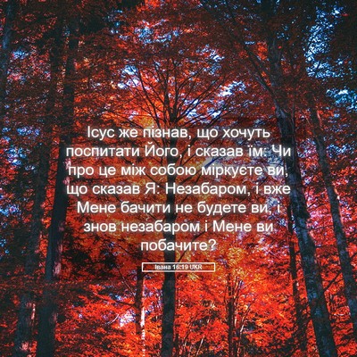 Picture 05 - Івана 16:19 UKR - Ісус же пізнав, що хочуть - Bible Verse Picture