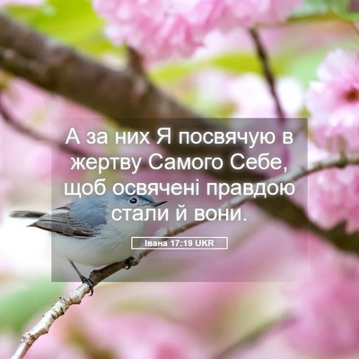 Picture 05 - Івана 17:19 UKR - А за них Я посвячую в - Bible Verse Picture