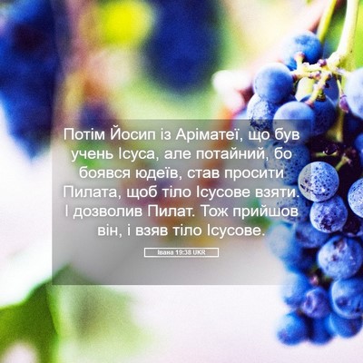 Picture 05 - Івана 19:38 UKR - Потім Йосип із Аріматеї, що - Bible Verse Picture