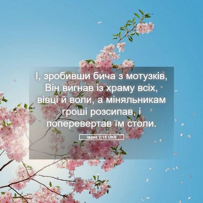 Picture 05 - Івана 2:15 UKR - І, зробивши бича з - Bible Verse Picture