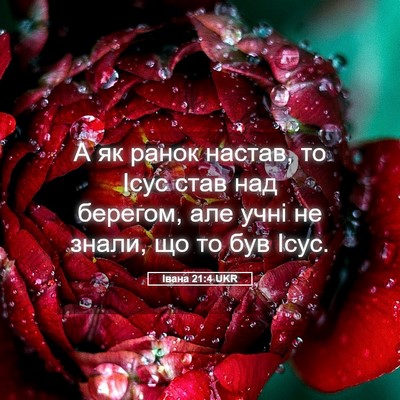 Picture 05 - Івана 21:4 UKR - А як ранок настав, то Ісус - Bible Verse Picture