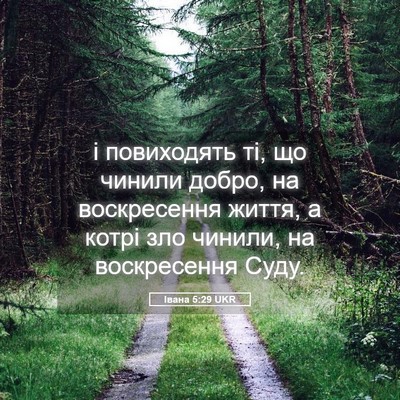 Picture 05 - Івана 5:29 UKR - і повиходять ті, що чинили - Bible Verse Picture