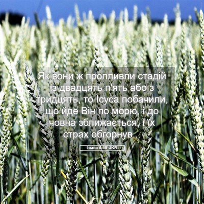 Picture 05 - Івана 6:19 UKR - Як вони ж пропливли стадій - Bible Verse Picture
