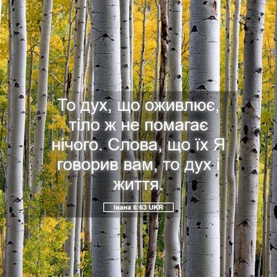 Picture 05 - Івана 6:63 UKR - То дух, що оживлює, тіло ж - Bible Verse Picture