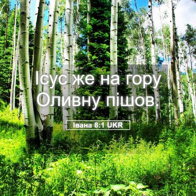 Picture 05 - Івана 8:1 UKR - Ісус же на гору Оливну - Bible Verse Picture