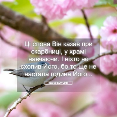 Picture 05 - Івана 8:20 UKR - Ці слова Він казав при - Bible Verse Picture