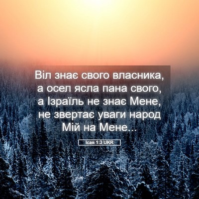 Picture 05 - Ісая 1:3 UKR - Віл знає свого власника, а - Bible Verse Picture