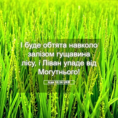 Picture 05 - Ісая 10:34 UKR - І буде обтята навколо - Bible Verse Picture