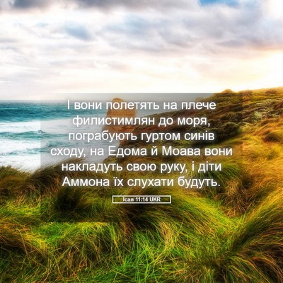 Picture 05 - Ісая 11:14 UKR - І вони полетять на плече - Bible Verse Picture