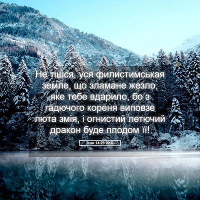 Picture 05 - Ісая 14:29 UKR - Не тішся, уся - Bible Verse Picture