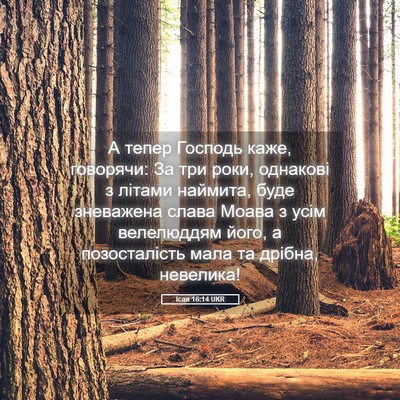 Picture 05 - Ісая 16:14 UKR - А тепер Господь каже, - Bible Verse Picture