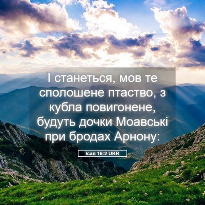 Picture 05 - Ісая 16:2 UKR - І станеться, мов те - Bible Verse Picture