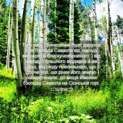 Picture 05 - Ісая 18:7 UKR - Того часу принесений буде - Bible Verse Picture