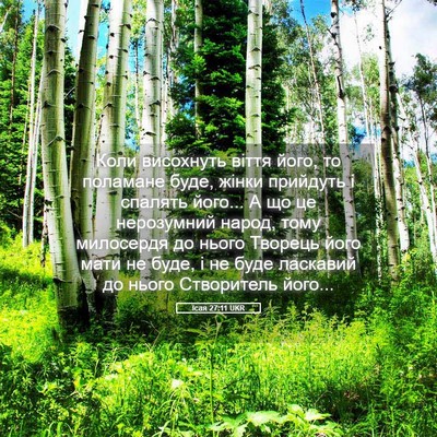 Picture 05 - Ісая 27:11 UKR - Коли висохнуть віття його, - Bible Verse Picture