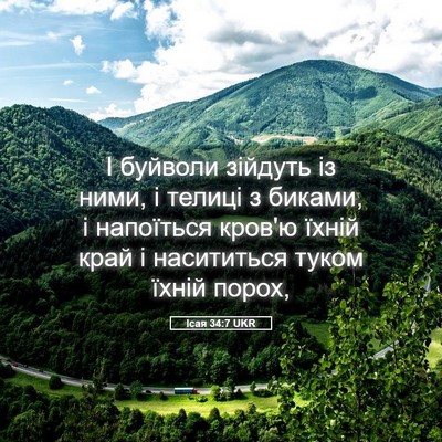 Picture 05 - Ісая 34:7 UKR - І буйволи зійдуть із ними, - Bible Verse Picture