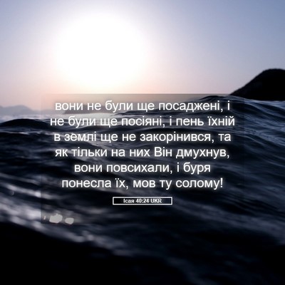 Picture 05 - Ісая 40:24 UKR - вони не були ще посаджені, - Bible Verse Picture