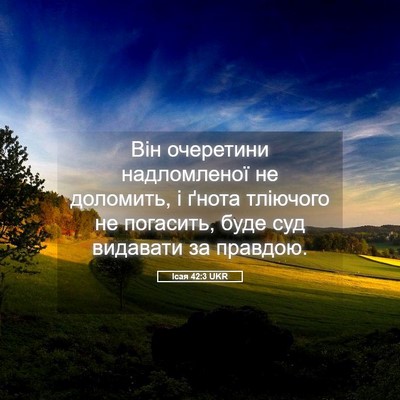 Picture 05 - Ісая 42:3 UKR - Він очеретини надломленої - Bible Verse Picture