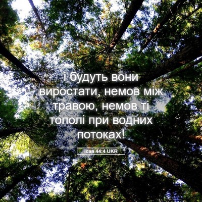 Picture 05 - Ісая 44:4 UKR - і будуть вони виростати, - Bible Verse Picture
