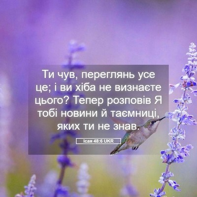 Picture 05 - Ісая 48:6 UKR - Ти чув, переглянь усе це; і - Bible Verse Picture