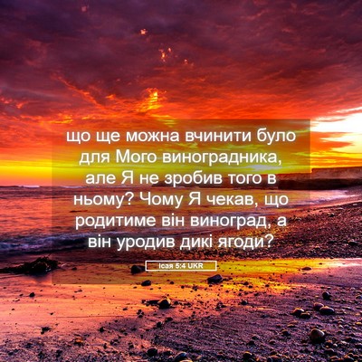 Picture 05 - Ісая 5:4 UKR - що ще можна вчинити було - Bible Verse Picture