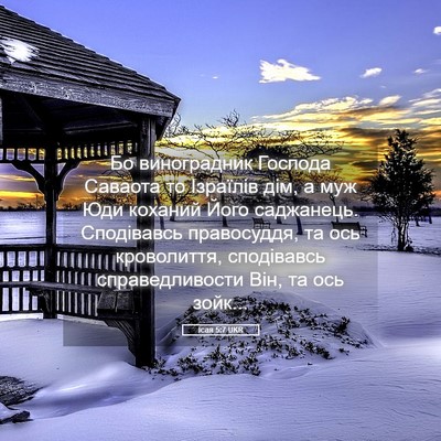 Picture 05 - Ісая 5:7 UKR - Бо виноградник Господа - Bible Verse Picture