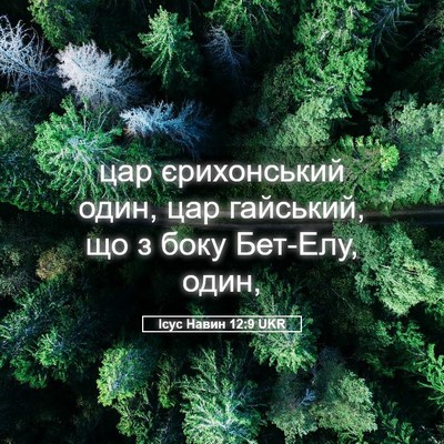 Picture 05 - Ісус Навин 12:9 UKR - цар єрихонський один, цар - Bible Verse Picture