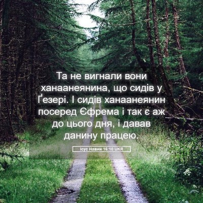 Picture 05 - Ісус Навин 16:10 UKR - Та не вигнали вони - Bible Verse Picture