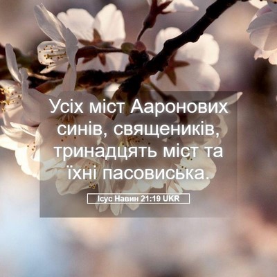 Picture 05 - Ісус Навин 21:19 UKR - Усіх міст Ааронових синів, - Bible Verse Picture