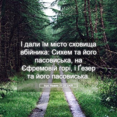 Picture 05 - Ісус Навин 21:21 UKR - І дали їм місто сховища - Bible Verse Picture