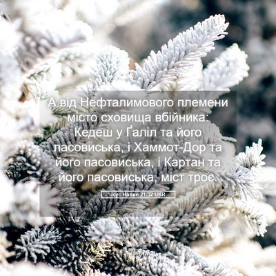 Picture 05 - Ісус Навин 21:32 UKR - А від Нефталимового - Bible Verse Picture