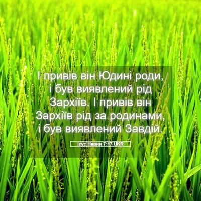 Picture 05 - Ісус Навин 7:17 UKR - І привів він Юдині роди, і - Bible Verse Picture