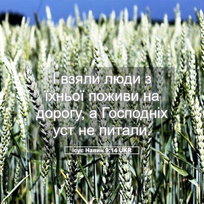 Picture 05 - Ісус Навин 9:14 UKR - І взяли люди з їхньої - Bible Verse Picture