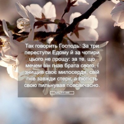 Picture 05 - Амос 1:11 UKR - Так говорить Господь: За - Bible Verse Picture