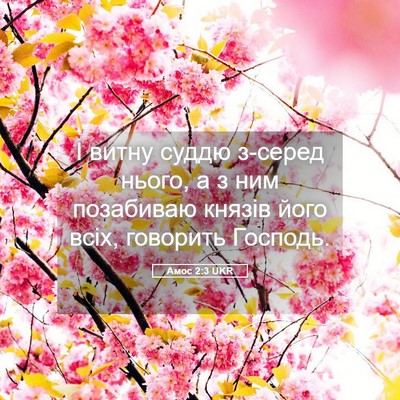 Picture 05 - Амос 2:3 UKR - І витну суддю з-серед - Bible Verse Picture
