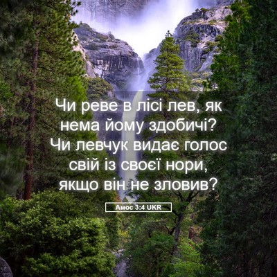 Picture 05 - Амос 3:4 UKR - Чи реве в лісі лев, як нема - Bible Verse Picture